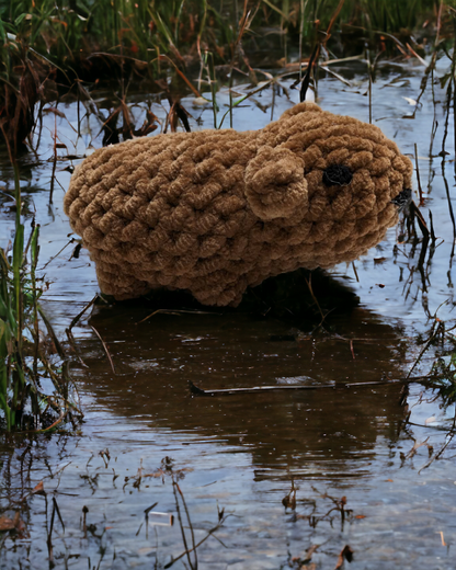 Capybara